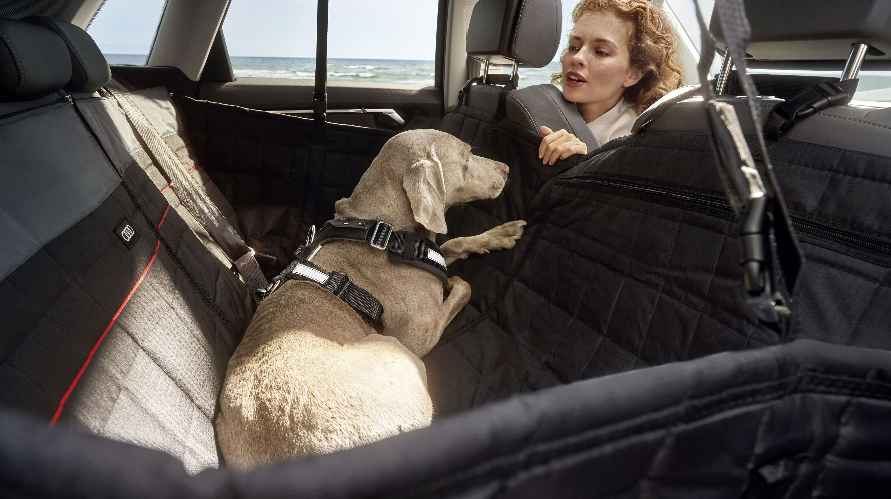 Ein Mann fährt einen Audi, ein Hund schaut zwischen den Sitzen hindurch