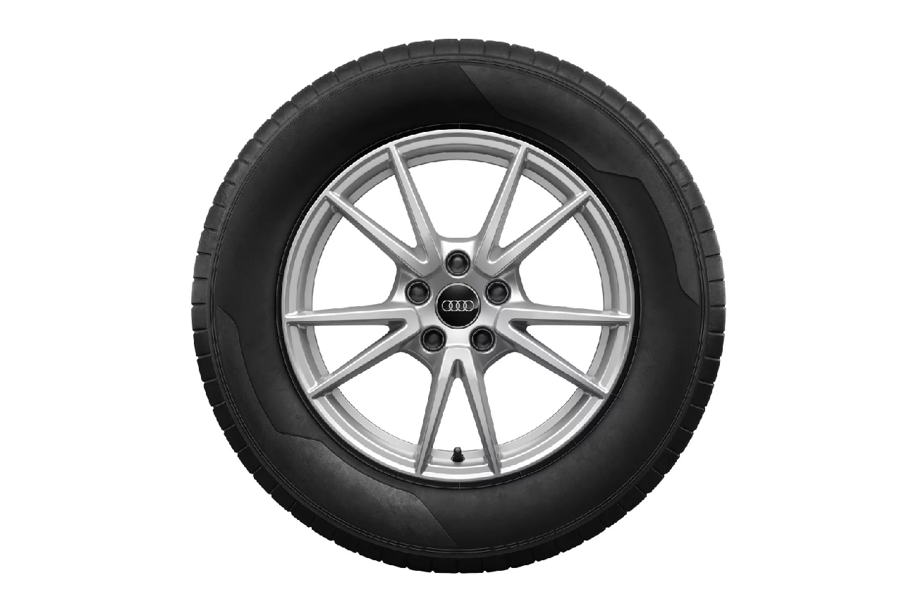 Audi A6 Winterkomplettrad 5-Doppelspeichen-Design Silber 17 Zoll