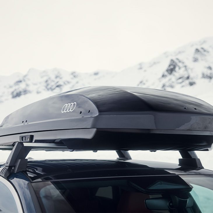 Strešni kovček Audi, nameščen na strehi vozila.  Kovček je zaprt in pritrjen na prečne nosilce.  V ozadju je zasnežena gorska pokrajina.